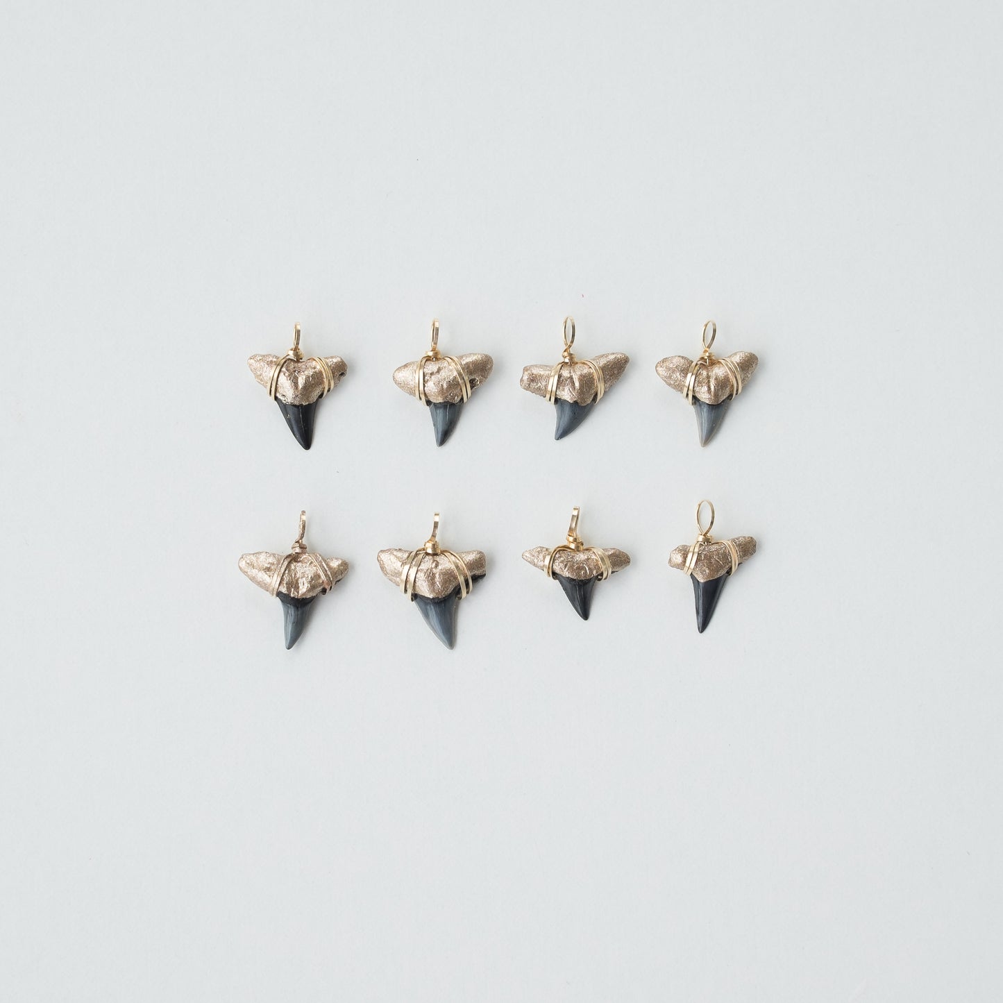 Gold-Tip Shark Tooth Necklace | Real Shark Tooth — Foxy Fossils