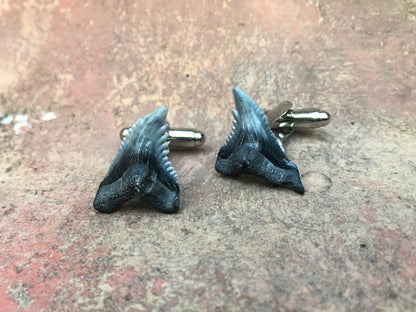 Shark Tooth Cufflinks - Natural