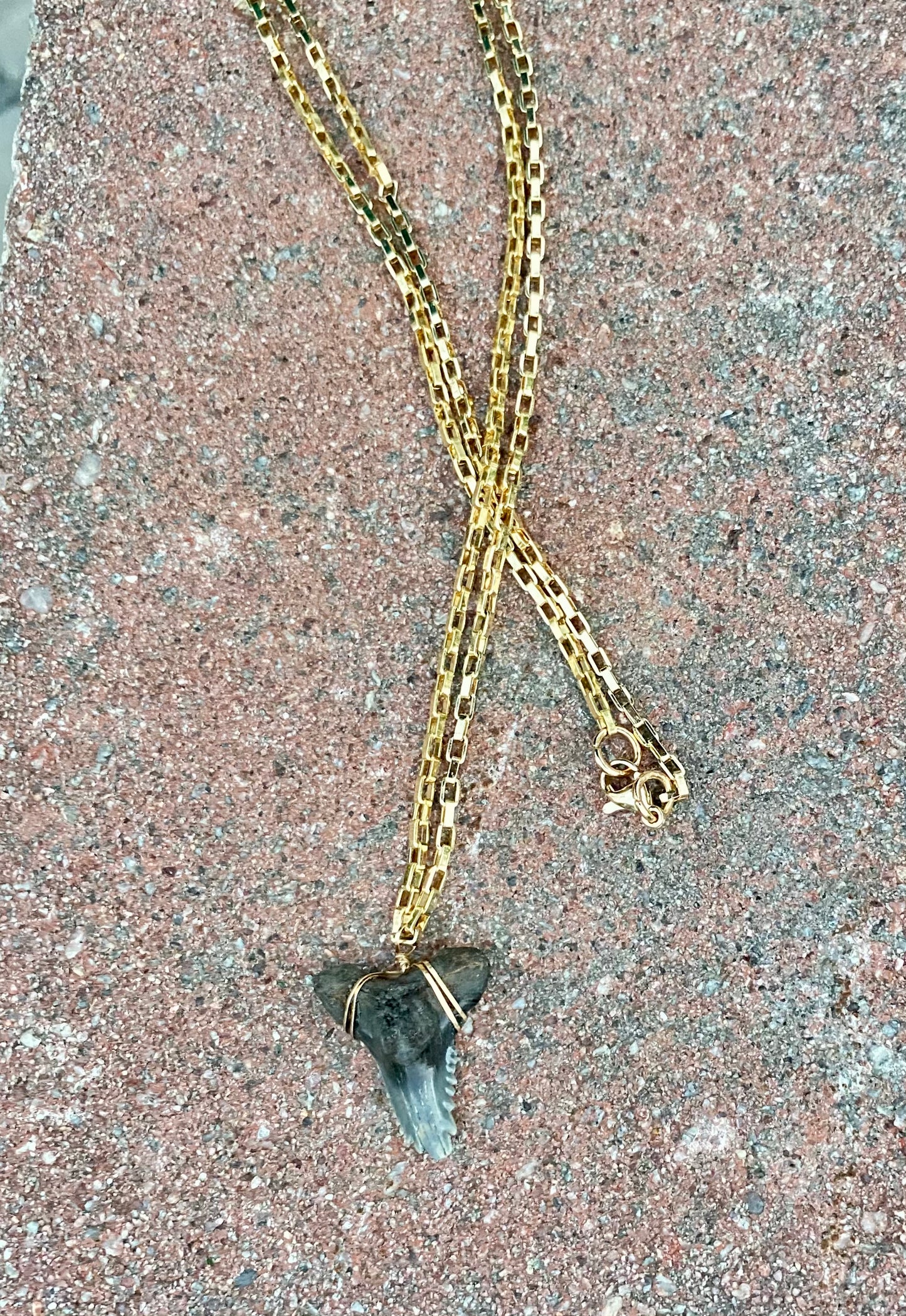 snaggletooth shark tooth necklace for men on gold chain-ethical brand mens jewelry-Foxy Fossils 