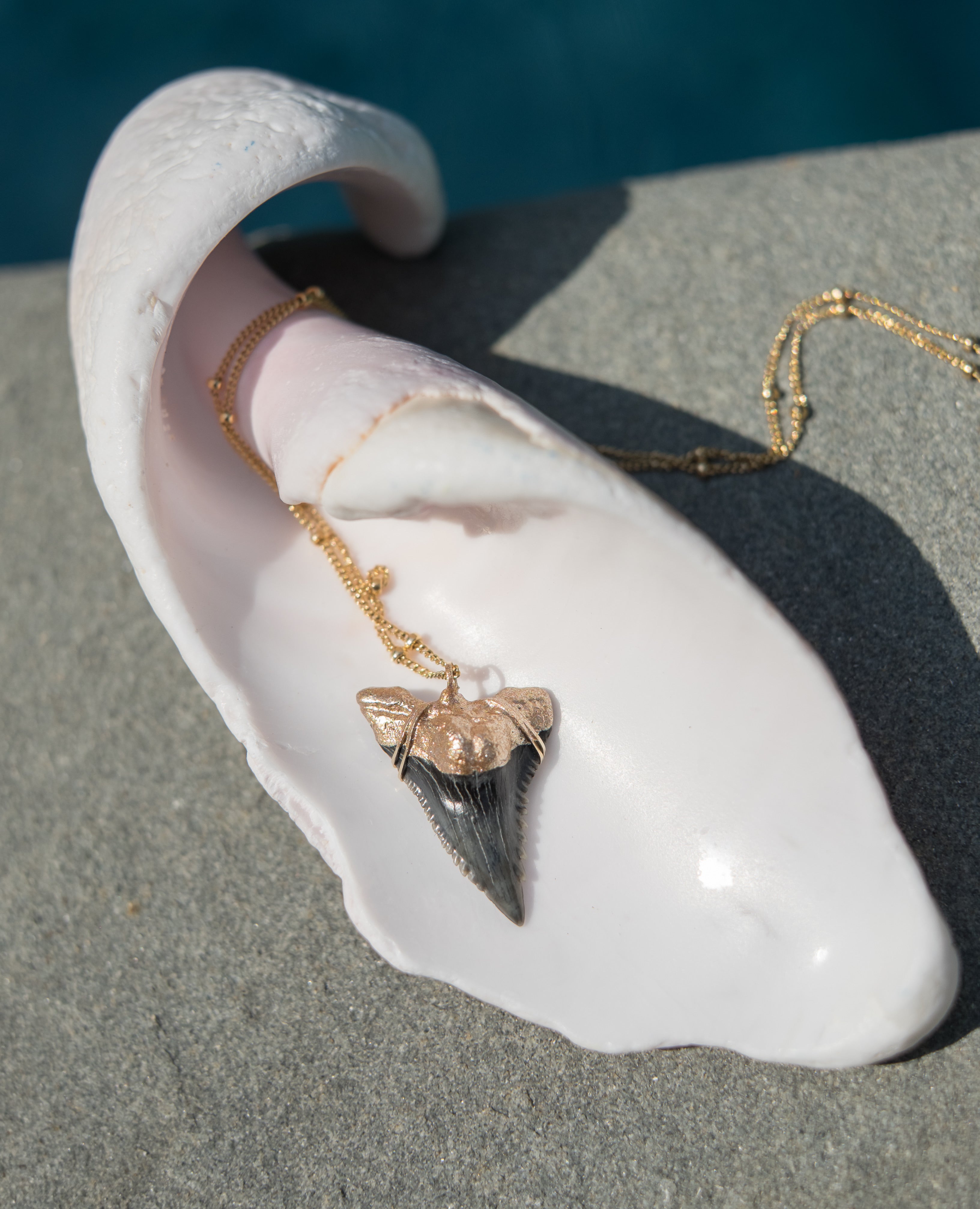 Amazon.com: KALIFANO Fossilized Shark Tooth Necklace - Authentic  Prehistoric Shark Teeth Fossil Pendant on 18