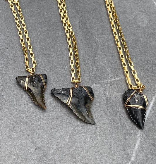 mens luxury shark tooth necklaces on gold chain-snaggletooth shark tooth necklace-hemi mens fossil tooth necklaces—Foxy Fossils