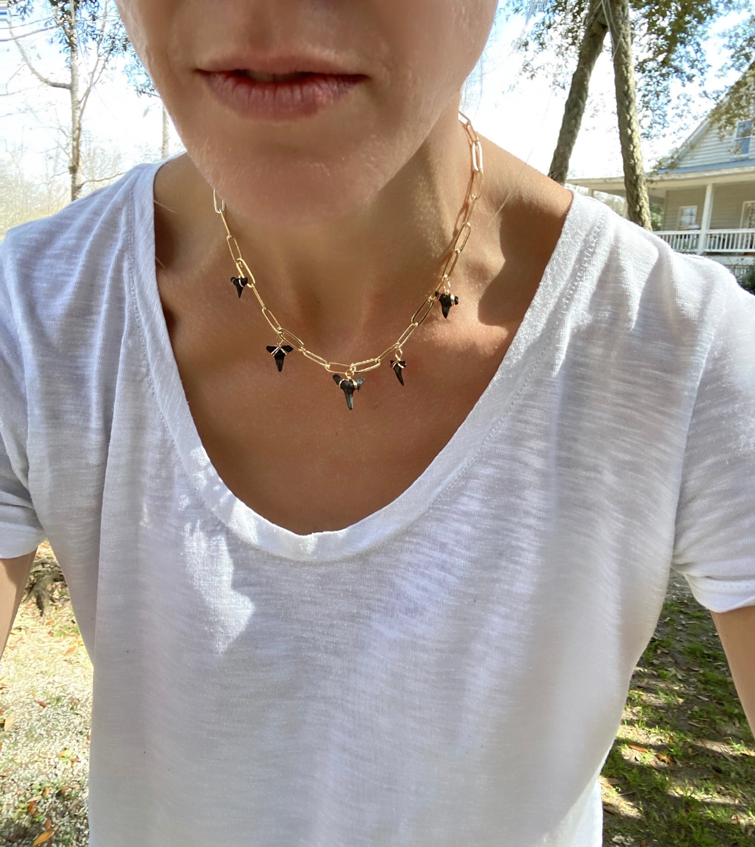 gold shark tooth necklace worn with casual on gold link chain - Foxy Fossils