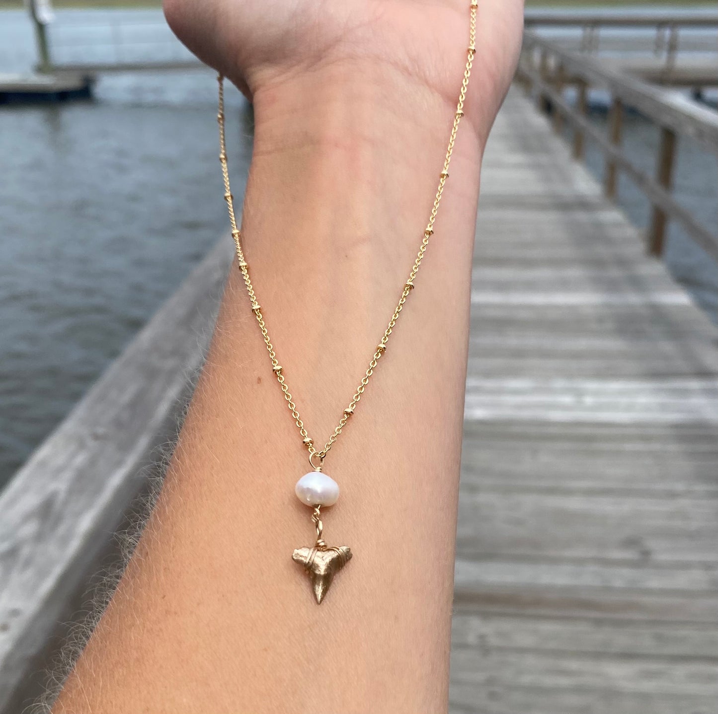 gold shark tooth necklace with pearl - dainty real fossil shark tooth jewelry - foxy fossils