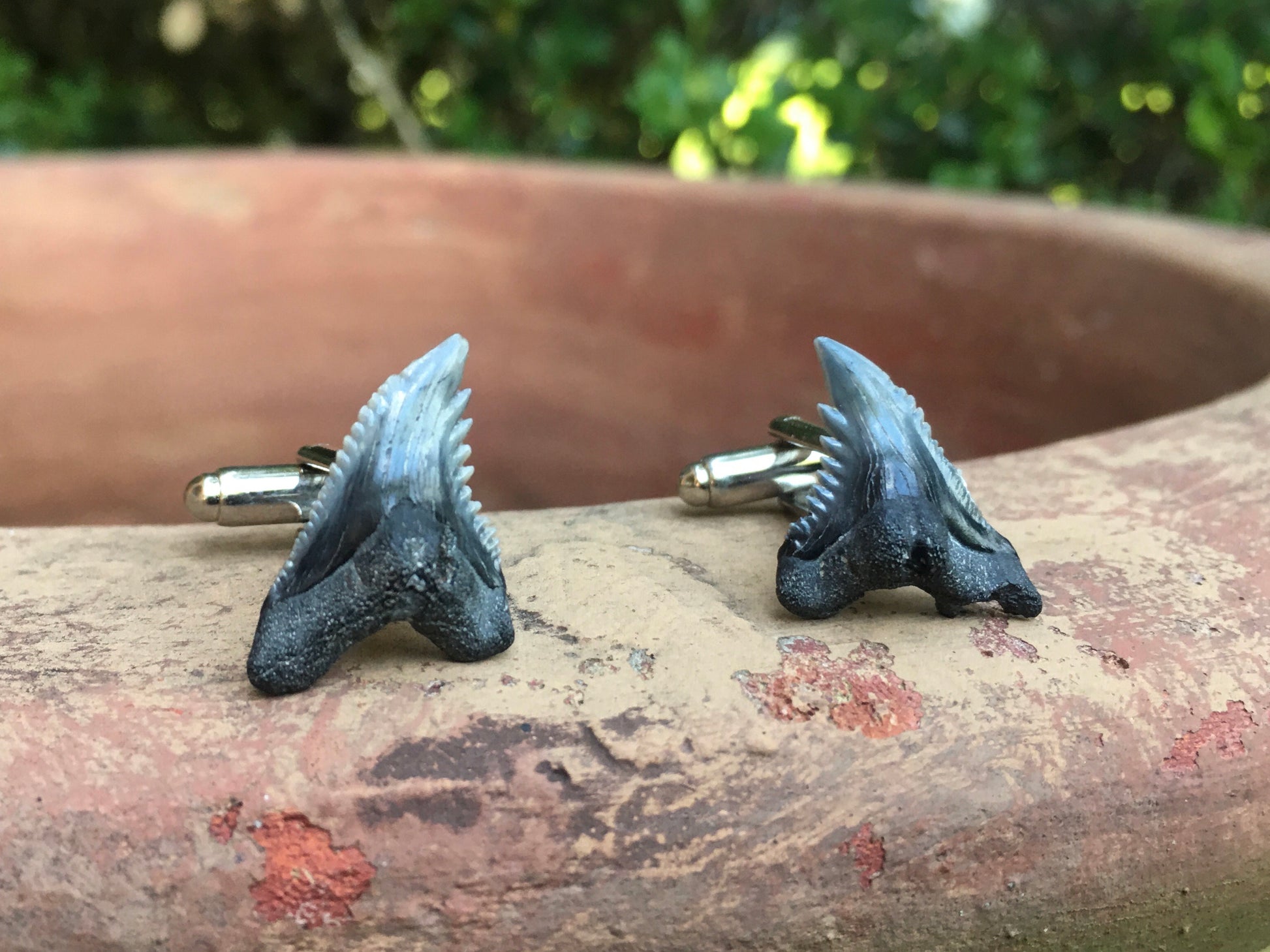 snaggletooth shark teeth cufflinks