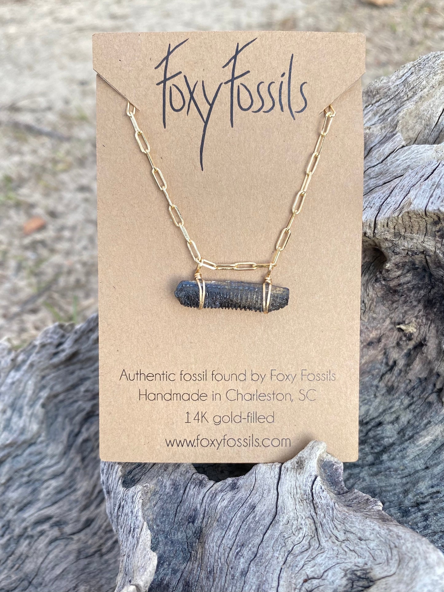 stingray necklace —fossilized stingray mouth plate bar style necklace on dainty link chain—Foxy Fossils 