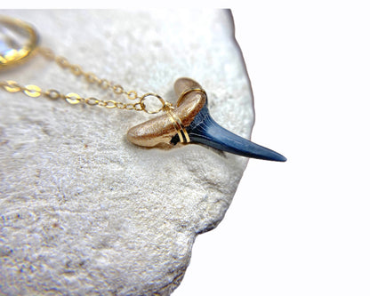 gold tip fossil shark tooth elegant layered necklace close up - foxy fossils