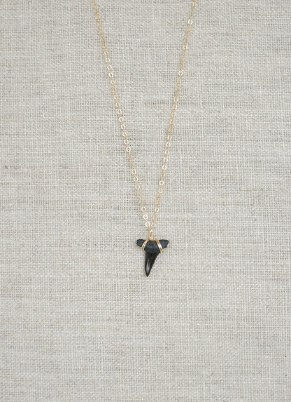 shark tooth necklace on gold chain wire wrapped black fossil shark tooth necklace by foxy fossils
