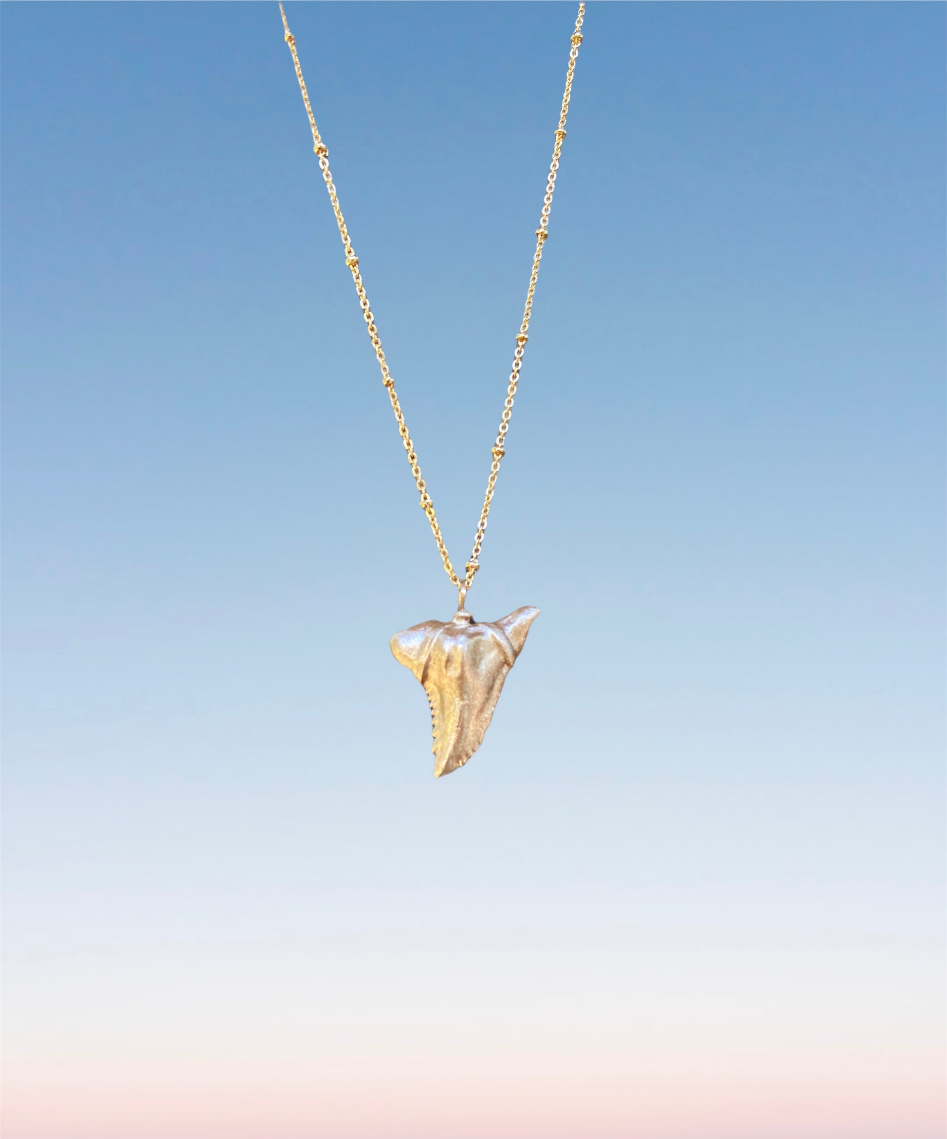 shark tooth necklace-real gold hemi shark tooth fossil pendant on satellite gold chain-foxy fossils