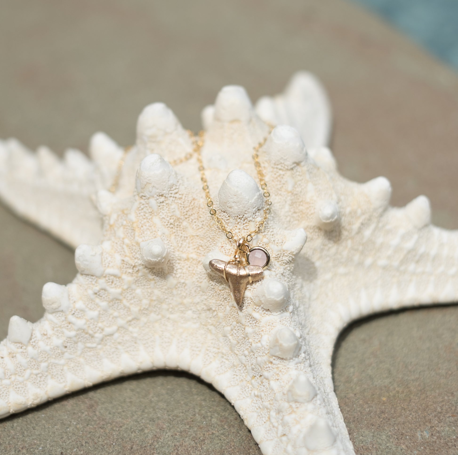 Sandy gold shark tooth necklace with light pink charm- Foxy Fossils