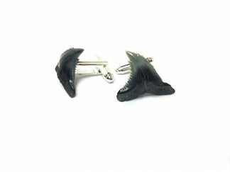 Real Shark Tooth Cuff Links — Natural Fossils | Foxy Fossils