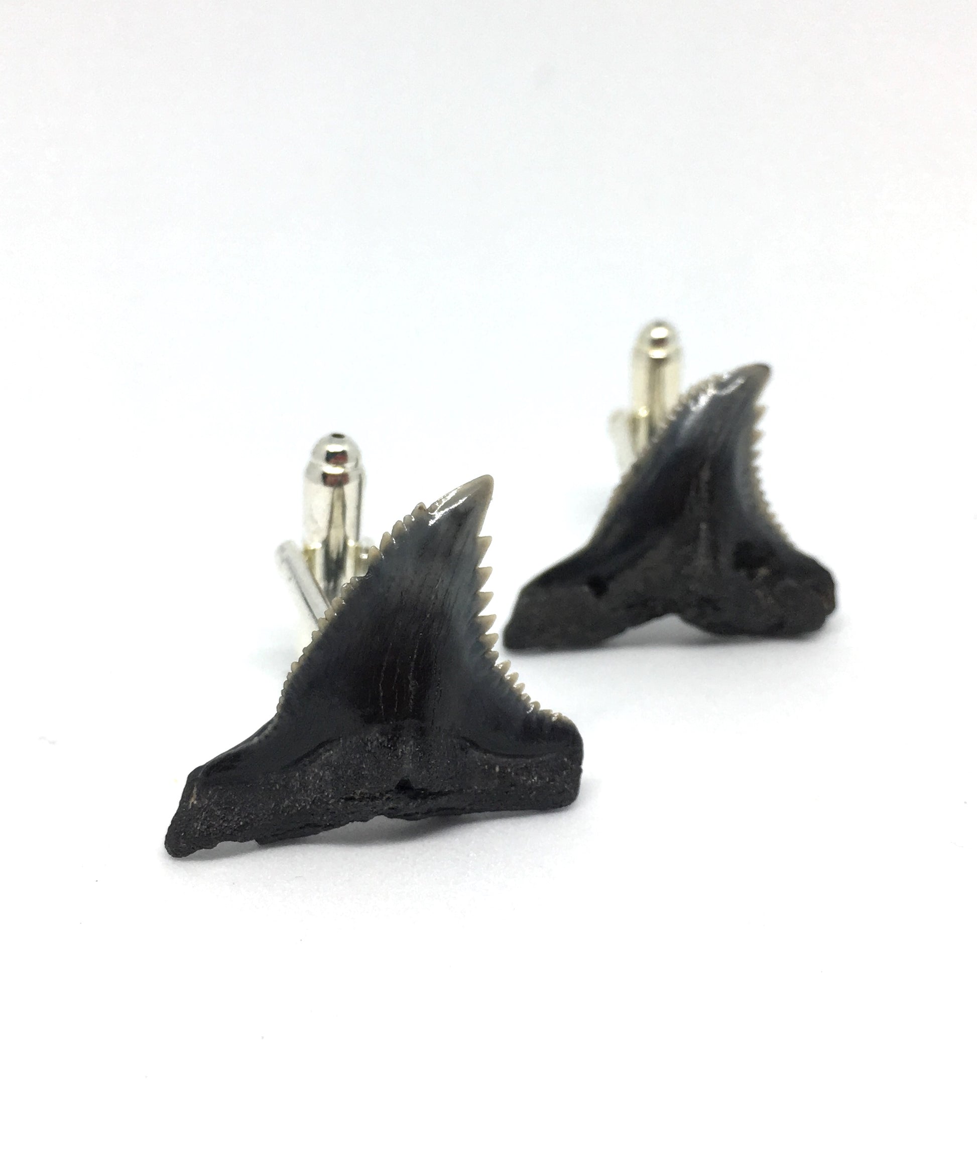 Shark Tooth Cufflinks - Natural - Foxy Fossils