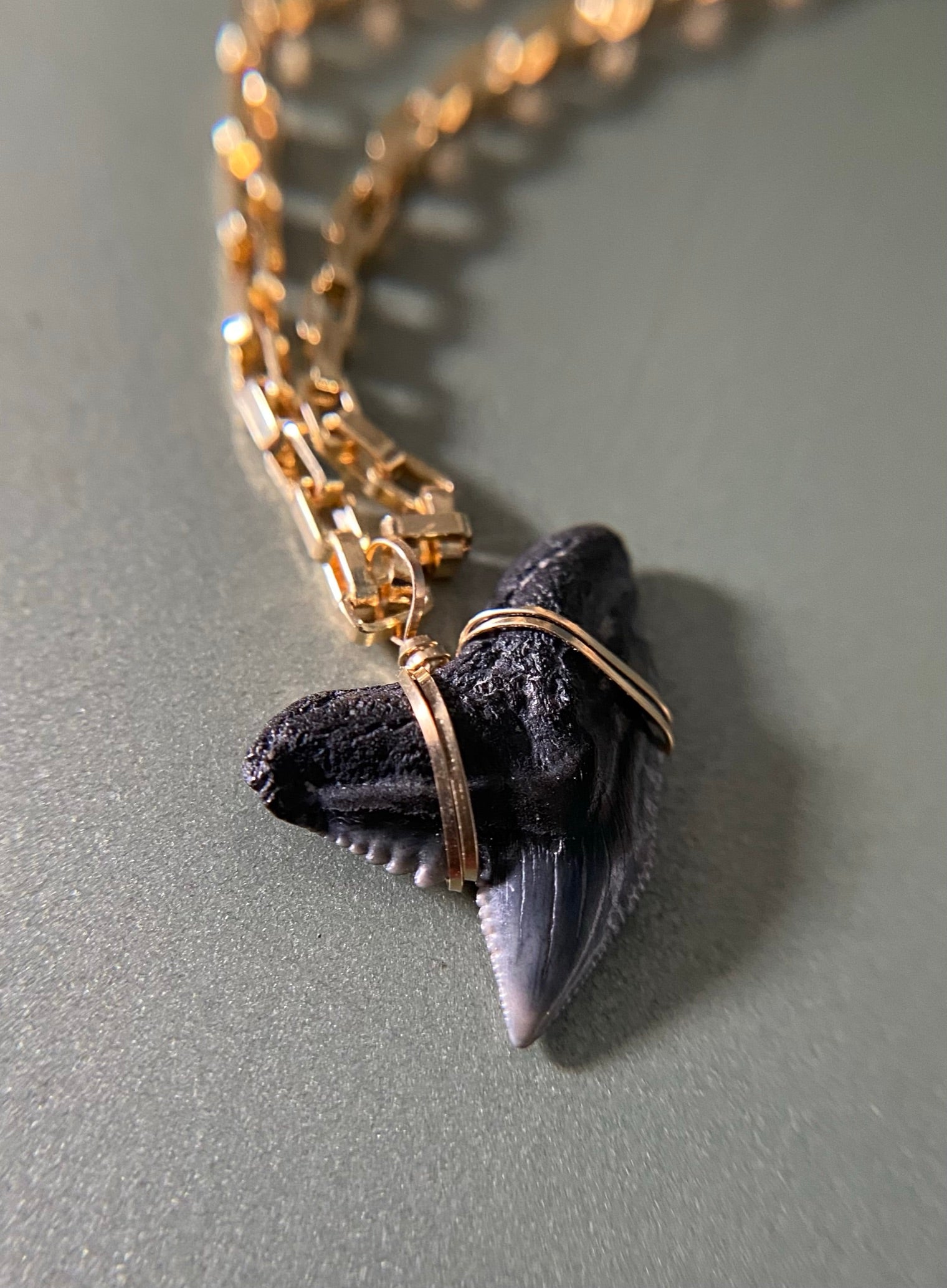 MEGALODON SHARK TOOTH NECKLACE 1 1/4