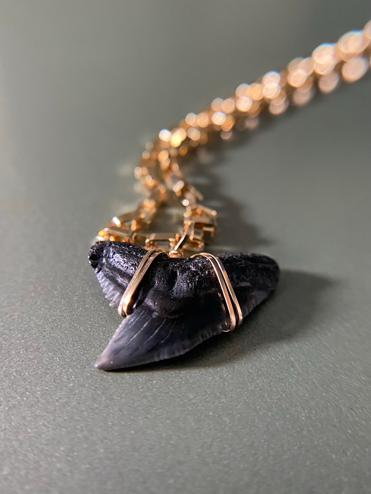Tiger Shark Tooth Pendant-Real Prehistoric Fossil | Foxy Fossils