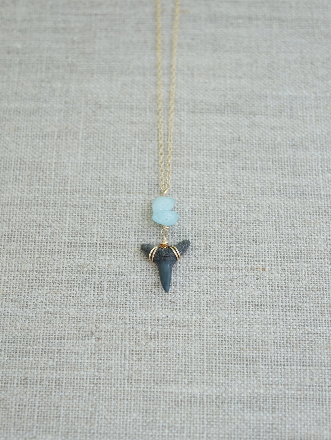 Products β Page 5 β Foxy Fossils
